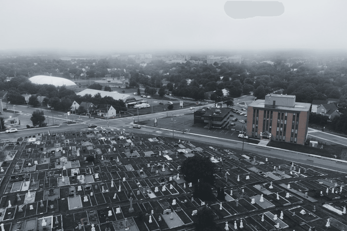 Bassetlaw