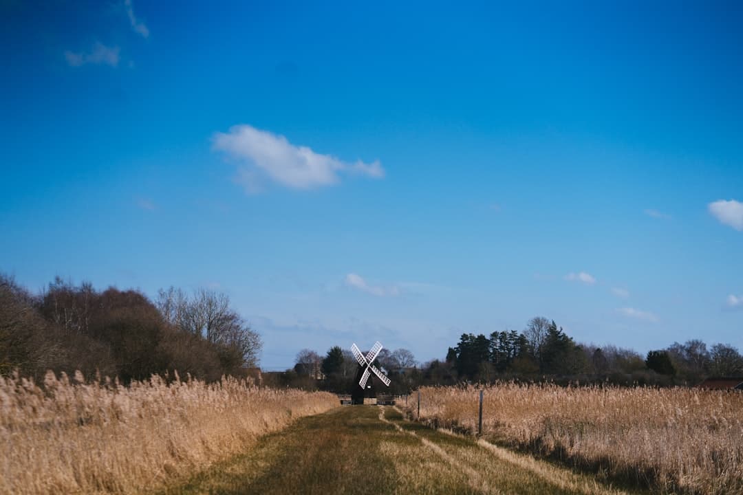 Fenland