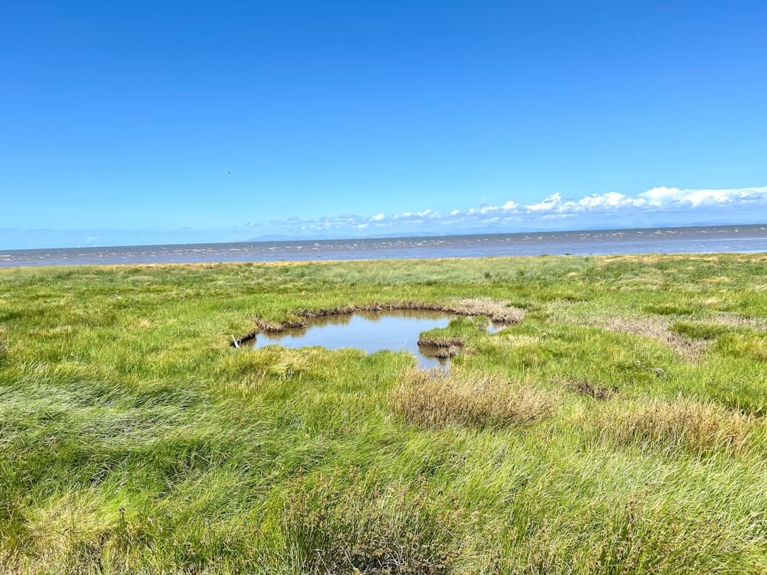 Fylde