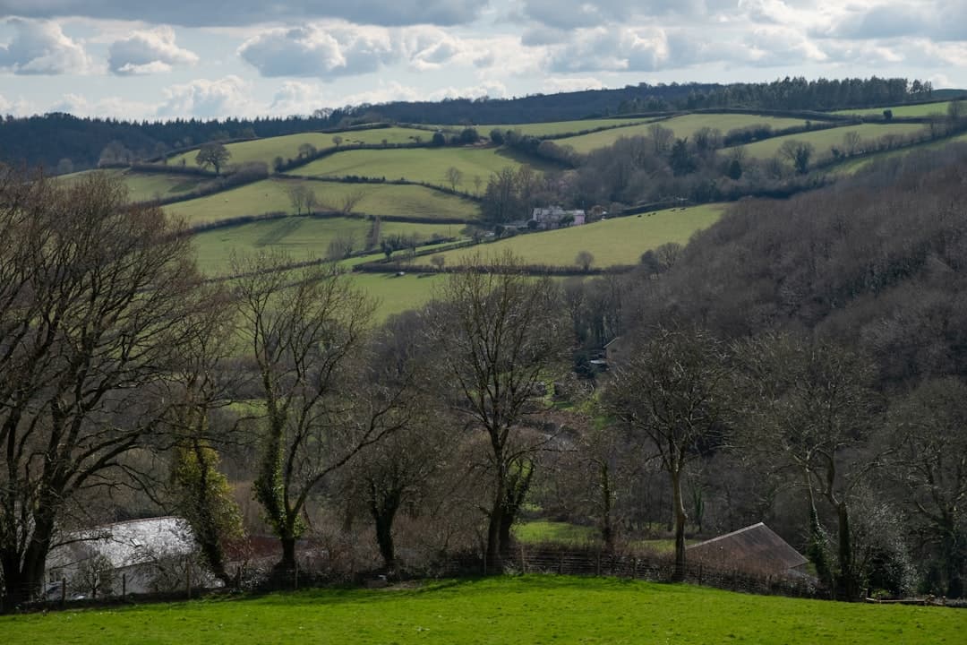 Mid Devon